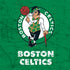 NBA Boston Celtics Green Primary Logo Nintendo 2DS XL (2017) Skin