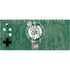 NBA Boston Celtics Hardwood Classics Xbox Adaptive Controller Skin