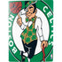 NBA Boston Celtics Large Logo PS5 Console Skin