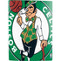 NBA Boston Celtics Large Logo PS5 Digital Edition Bundle Skin