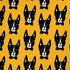 Bouffants and Broken Hearts Boston Terrier iPhone XR Skin