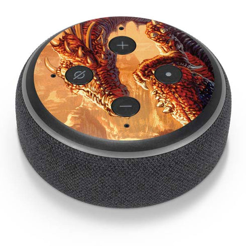 Ed Beard Jr. Bravery Misplaced Dragon and Knight Amazon Echo Dot Skin