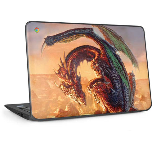 Bravery Misplaced Dragon and Knight by Ed Beard Jr HP Chromebook Skin