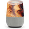 Ed Beard Jr. Bravery Misplaced Dragon and Knight Google Home Skin