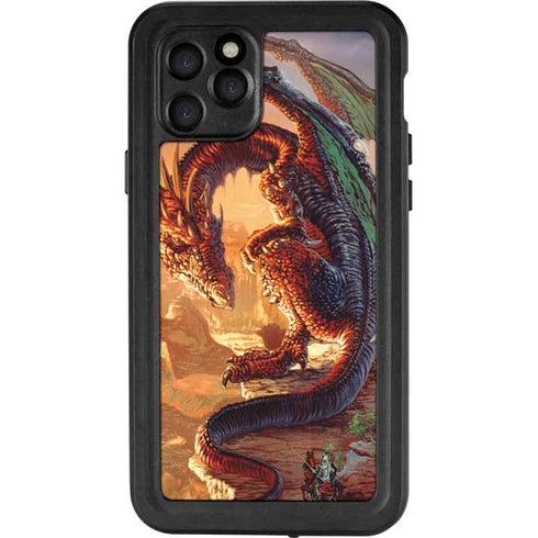 Ed Beard Jr. Bravery Misplaced Dragon and Knight iPhone 11 Pro Waterproof Case