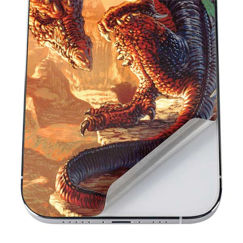 Ed Beard Jr. Bravery Misplaced Dragon and Knight iPhone 12 Pro Skin