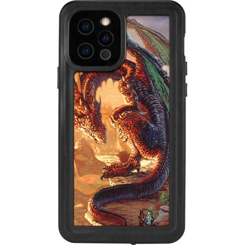 Ed Beard Jr. Bravery Misplaced Dragon and Knight iPhone 12 Pro Waterproof Case