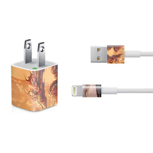 Ed Beard Jr. Bravery Misplaced Dragon and Knight iPhone Charger (5W USB) Skin