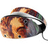 Ed Beard Jr. Bravery Misplaced Dragon and Knight PlayStation VR2 Skin