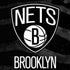 NBA Brooklyn Nets Black Animal Print iPhone XR Pro Case