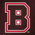 Brown University B Logo Notebook 9 Pro 13in (2017) Skin
