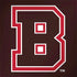 Brown University B Logo PlayStation 4 Gold Wireless Headset Skin