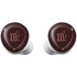 Brown University Bears Logo Galaxy Buds Plus Skin
