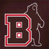 Brown University Bears Logo Notebook 9 Pro 13in (2017) Skin