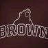 Brown University Outlined Dell Alienware Skin