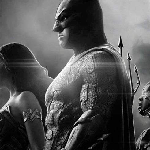 The Justice League (2017) Profile Characters Poster HP Spectre Skin