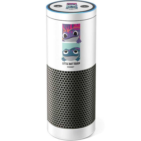 Disney Frozen II Bruni Art Amazon Echo Skin
