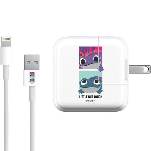 Disney Frozen II Bruni Art iPad Charger (10W USB) Skin