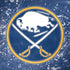 NHL Buffalo Sabres Frozen Legion Y720 Skin