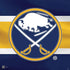 NHL Buffalo Sabres Jersey PS4 Slim Bundle Skin