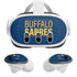 NHL Buffalo Sabres Lineup Meta Quest 3 Skin