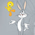 Looney Tunes Bugs Bunny Double iPhone XR Pro Case