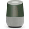 Bullet American Flag Google Home Skin