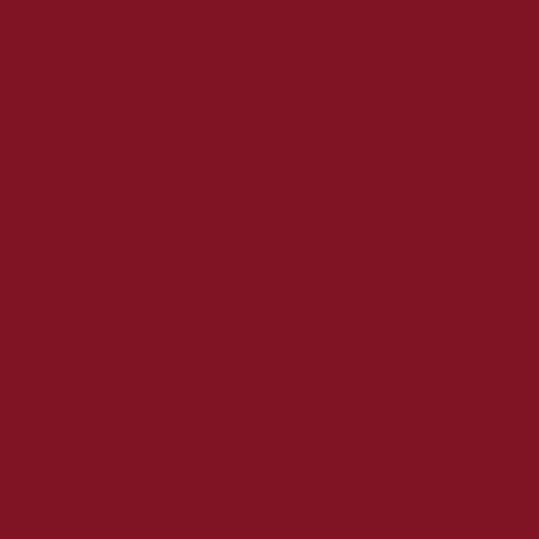 Burgundy Solid Moto E5 Play Skin