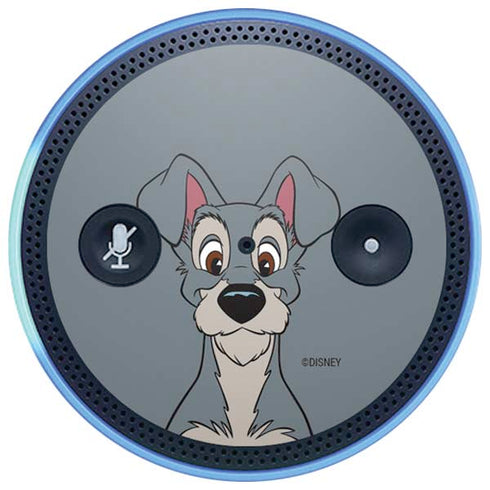 Disney Lady & The Tramp Butch Portrait Amazon Echo Skin