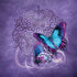 Brigid Ashwood Butterfly Celtic Knot Surface Book 2 15in Skin