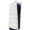 Bouffants and Broken Hearts Cacti 3 PS5 Digital Edition Console Skin