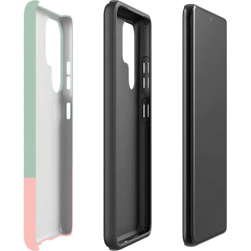 Cactus Prick Galaxy S22 Ultra Pro Case