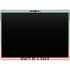 Cactus Prick Surface Pro 8 Skin