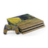 Vincent Van Gogh Cafe Terrace at Night PS4 Pro Bundle Skin