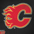 NHL Calgary Flames Distressed Legion Y720 Skin