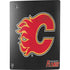 NHL Calgary Flames Distressed PS5 Bundle Skin