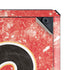 NHL Calgary Flames Frozen Cooler Master MasterBox Q300L Mini Tower Skin