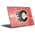 NHL Calgary Flames Frozen HP Envy Skin