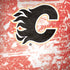 NHL Calgary Flames Frozen Galaxy Note 8 Skin