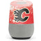 NHL Calgary Flames Frozen Google Home Skin