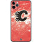 NHL Calgary Flames Frozen iPhone 11 Pro Max Skin