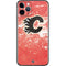 NHL Calgary Flames Frozen iPhone 11 Pro Skin