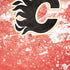 NHL Calgary Flames Frozen iPhone XR Skin