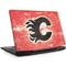 NHL Calgary Flames Frozen Legion Y720 Skin