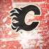 NHL Calgary Flames Frozen Moto G6 Skin