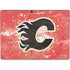NHL Calgary Flames Frozen Surface Pro 8 Skin