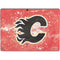 NHL Calgary Flames Frozen Surface Pro 9 Skin