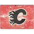 NHL Calgary Flames Frozen Surface Pro 9 Skin