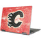 NHL Calgary Flames Frozen Yoga 710 14in Skin