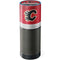 NHL Calgary Flames Jersey Amazon Echo Skin